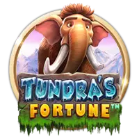 Tundra's Fortune